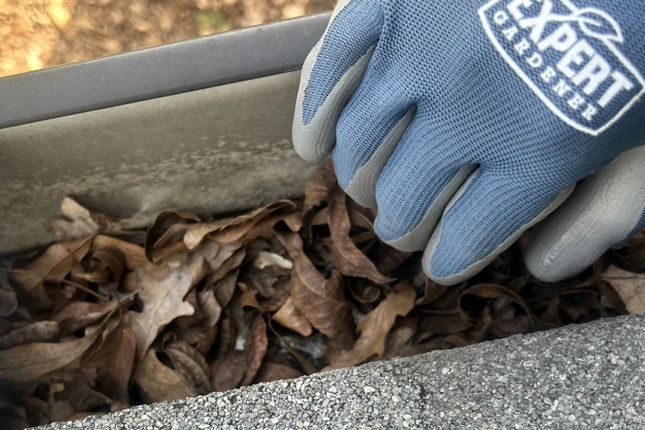 Gutter Cleaning Maryland Heights, MO